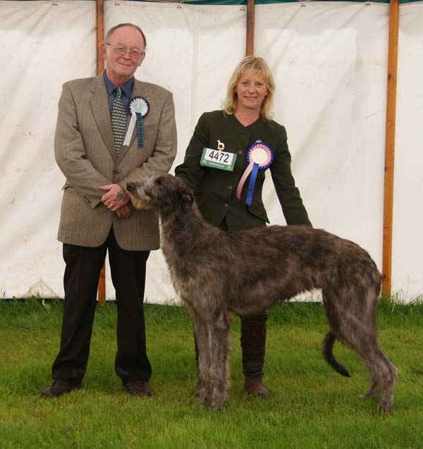 Best Puppy Border Union 2012